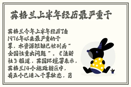 上色软件app